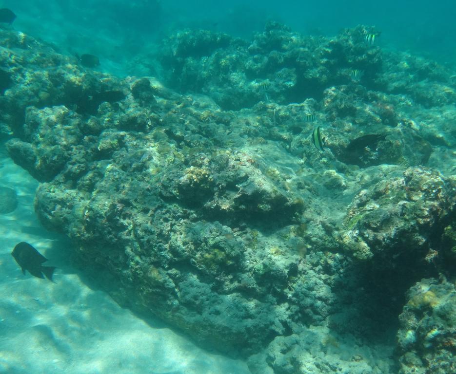 Wera Beach Kadumbul ภายนอก รูปภาพ