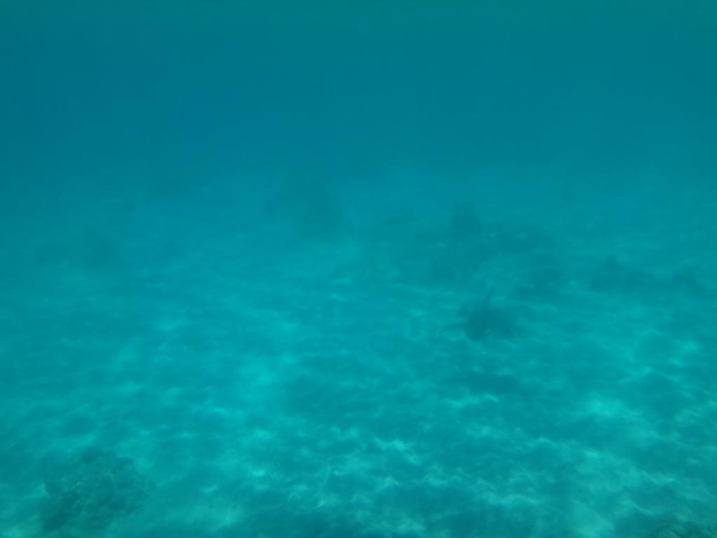 Wera Beach Kadumbul ภายนอก รูปภาพ