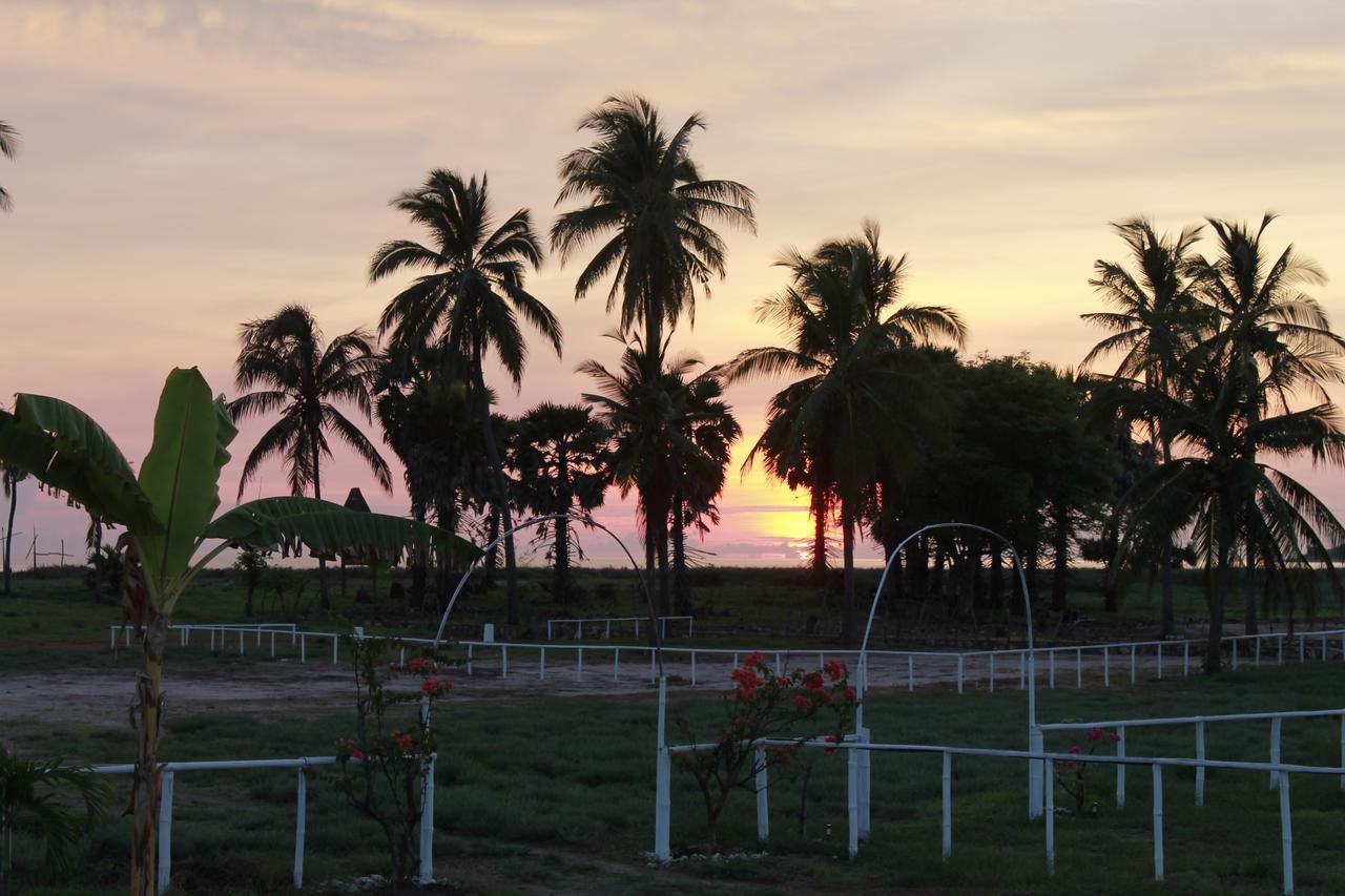 Wera Beach Kadumbul ภายนอก รูปภาพ