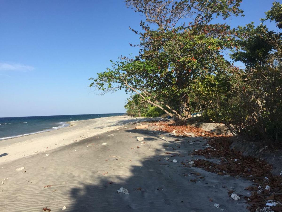 Wera Beach Kadumbul ภายนอก รูปภาพ