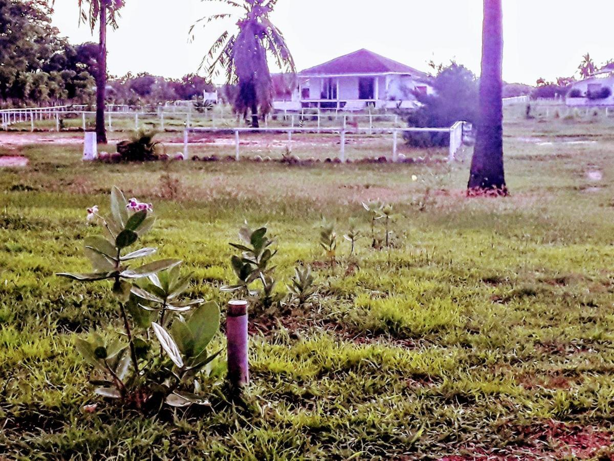 Wera Beach Kadumbul ภายนอก รูปภาพ